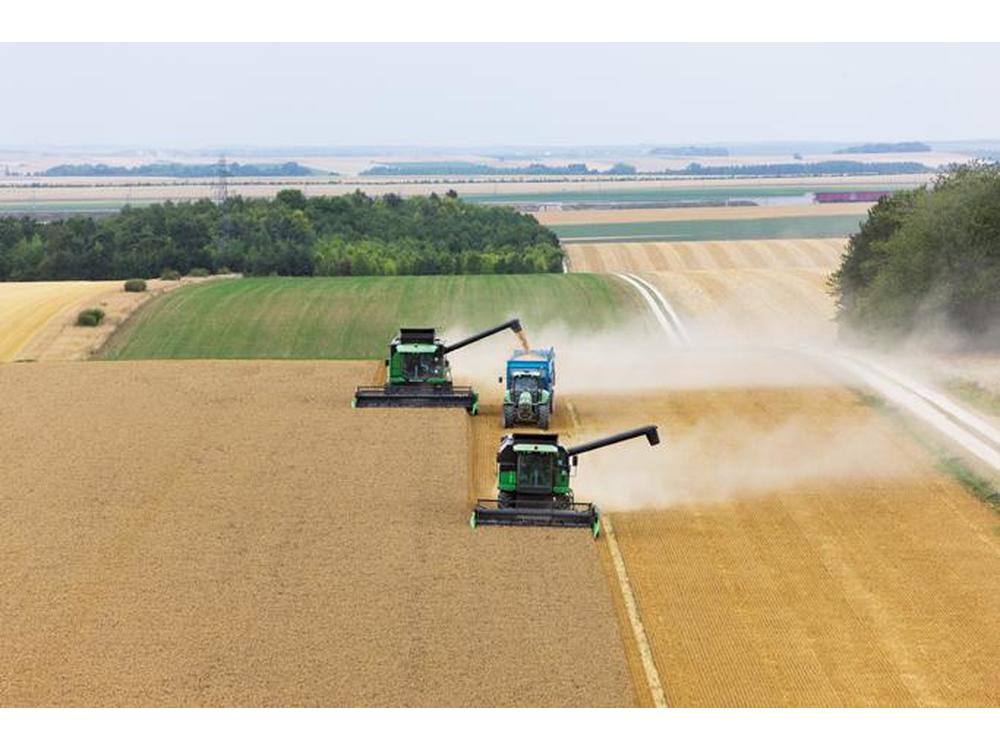 harvesters/August2020/LhrfBJn1O6paKMRzw9KH.jpg εικόνα