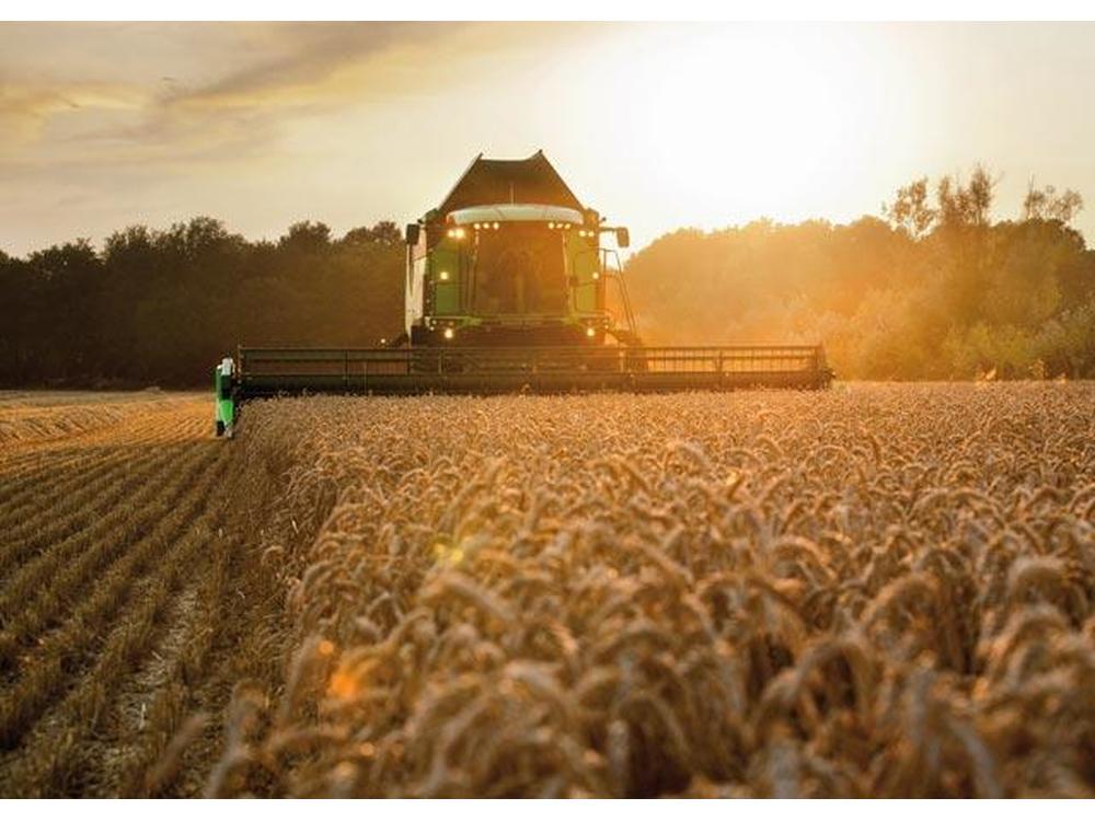 harvesters/August2020/xtRYlB0IY0CB2mFnlLU4.jpg εικόνα