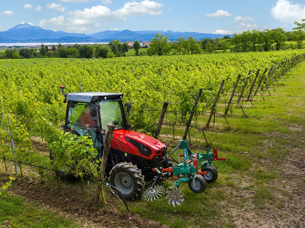  FRUTTETO (Stage V) εικόνα 2