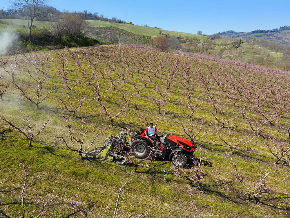 FRUTTETO PLATFORM εικόνα 1