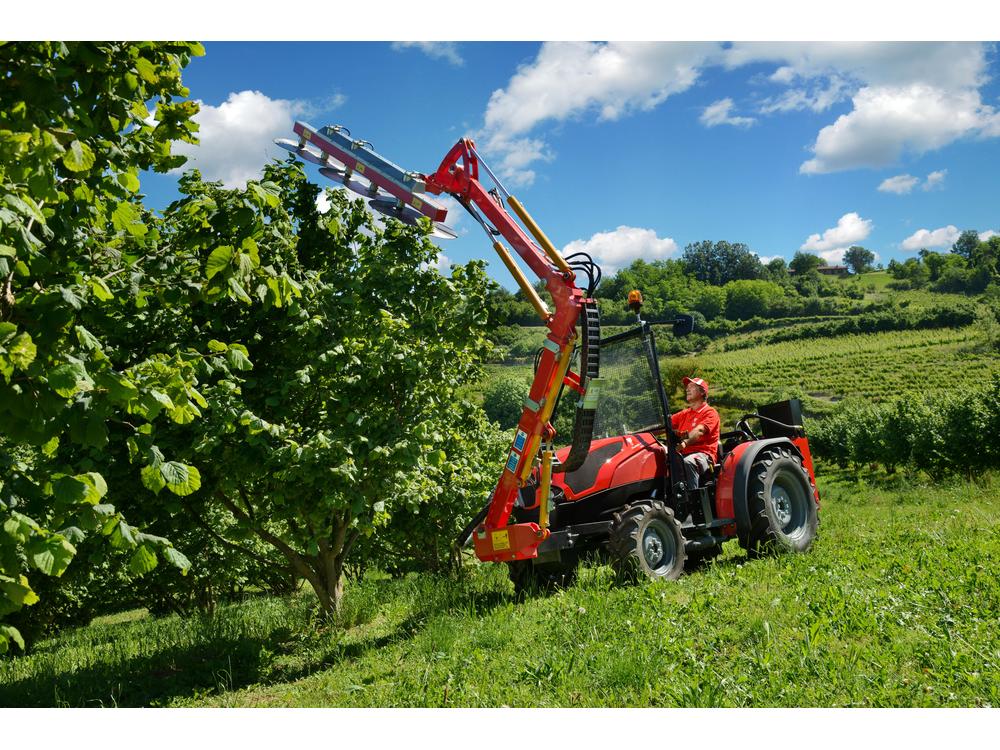  FRUTTETO CLASSIC εικόνα 2