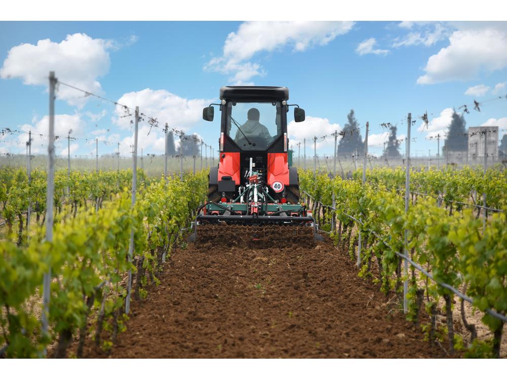 FRUTTETO CVT εικόνα 4