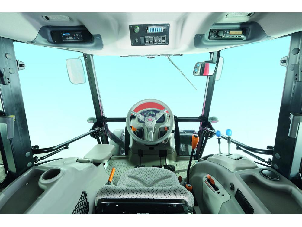  DORADO NATURAL εικόνα 4