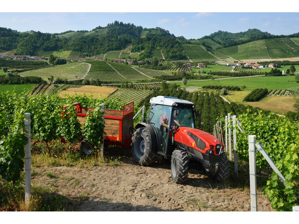  FRUTTETO εικόνα 2