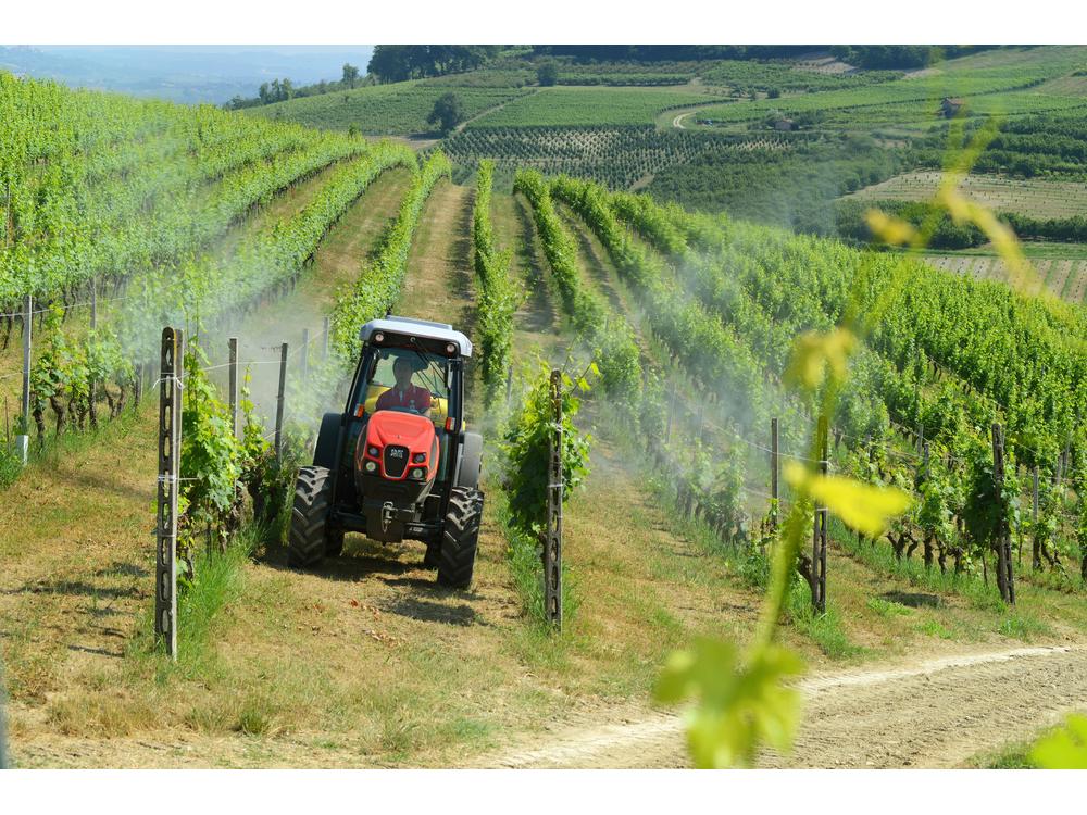  FRUTTETO εικόνα 1