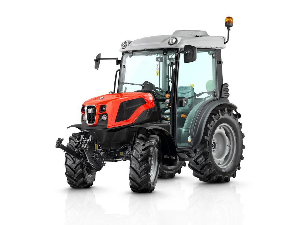 DELFINO εικόνα 3