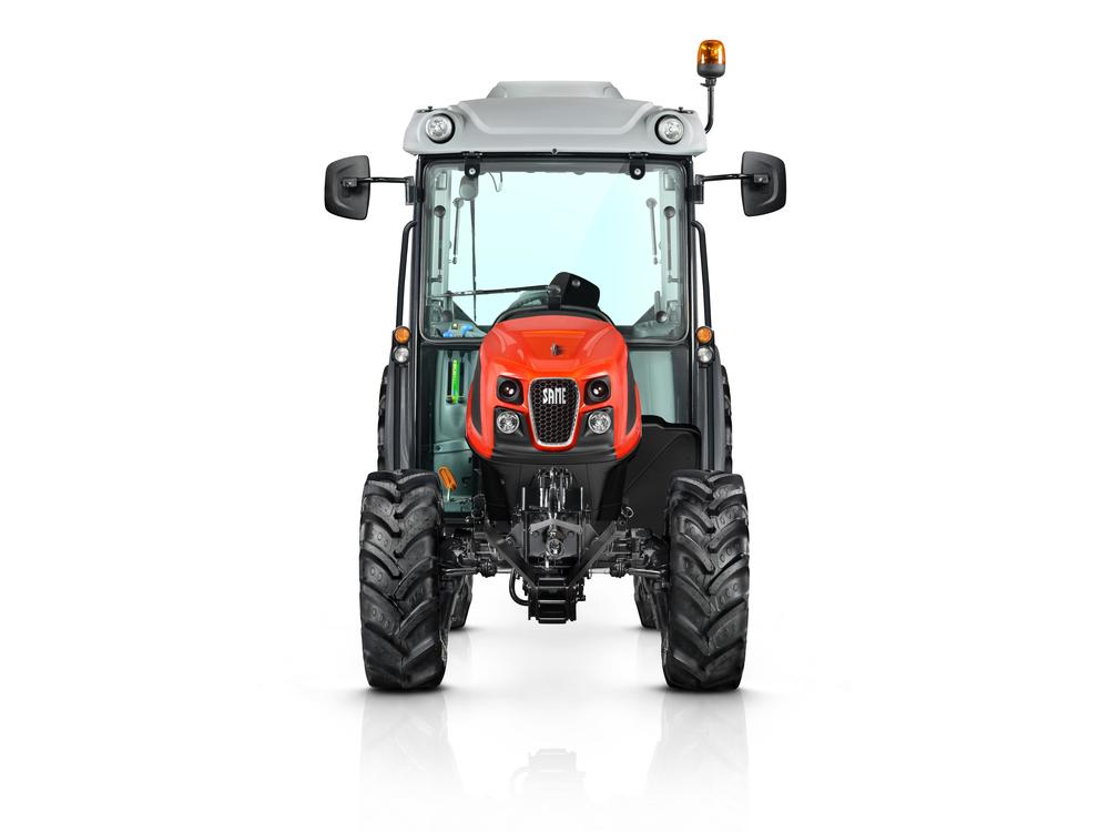 DELFINO εικόνα 5