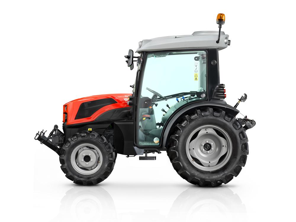 DELFINO εικόνα 4