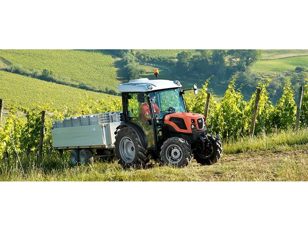 DELFINO εικόνα 1