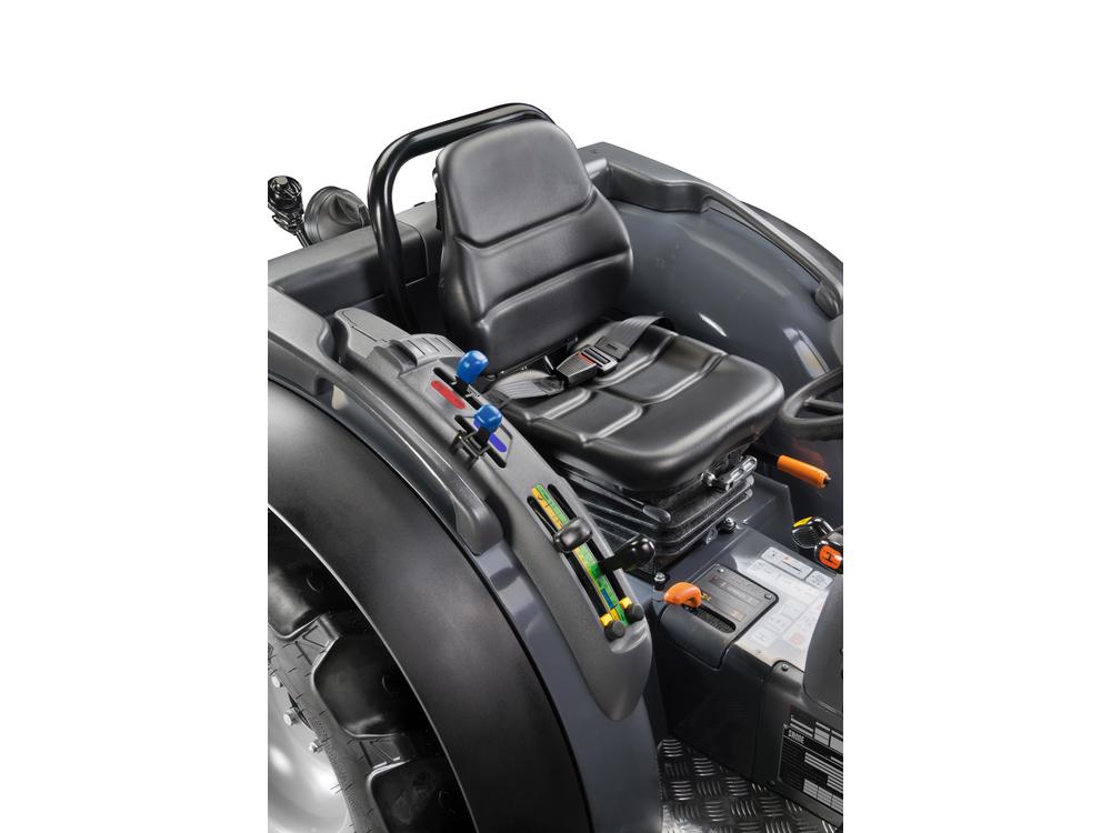 DELFINO εικόνα 9