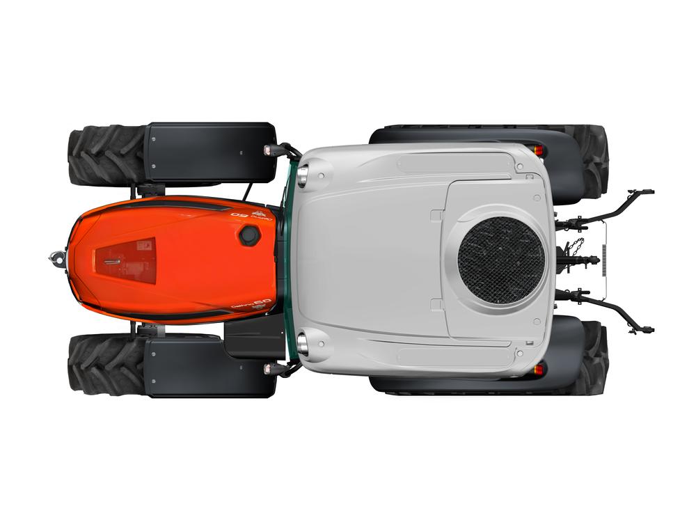 DELFINO εικόνα 6