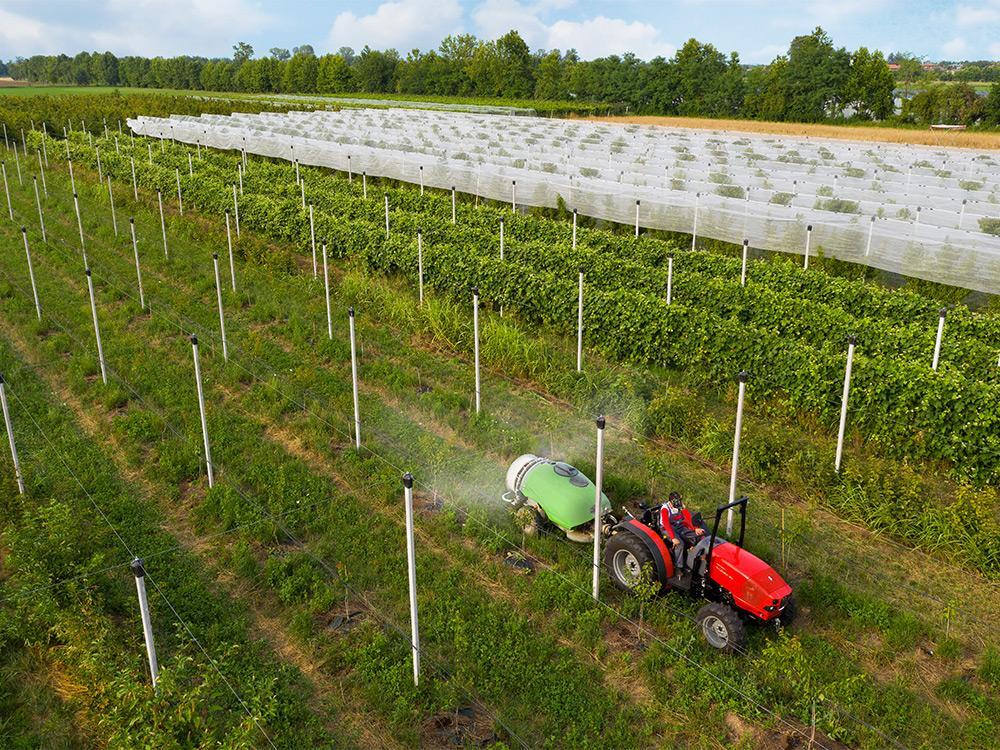  FRUTTETO NATURAL (New) εικόνα 3