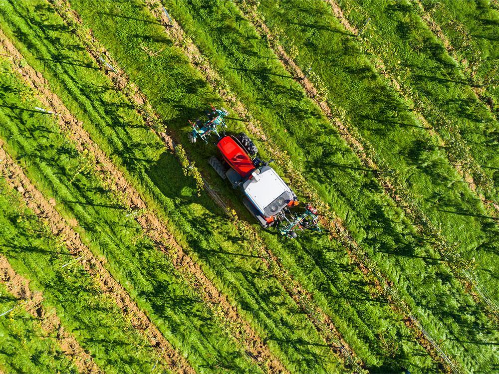  FRUTTETO CVT (Stage V) εικόνα 3