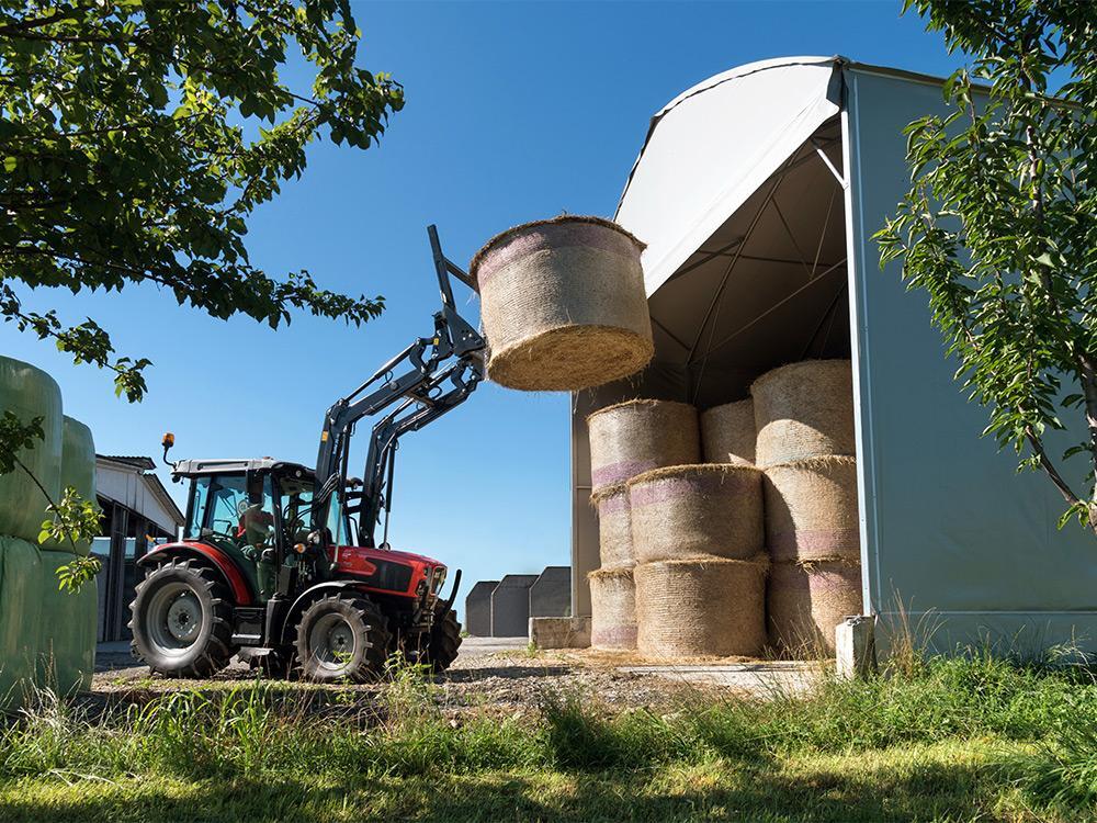 DORADO NATURAL (Stage V) εικόνα 3