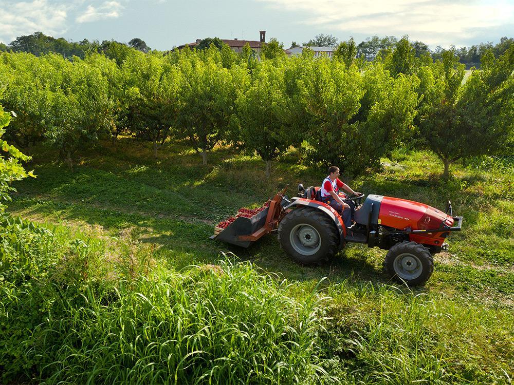  FRUTTETO NATURAL (New) εικόνα 1