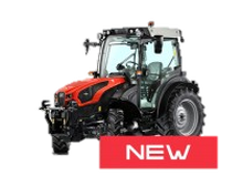 FRUTTETO (Stage V) εικόνα