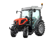 DELFINO εικόνα